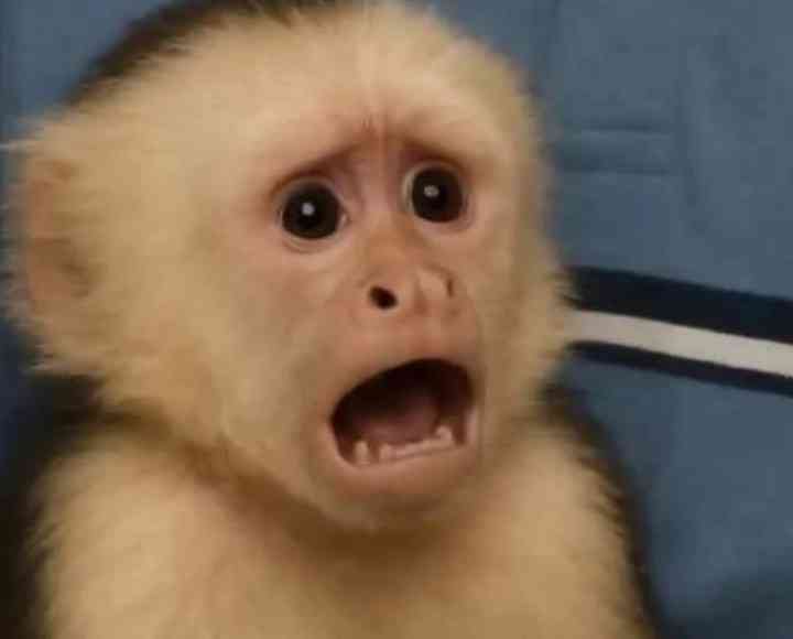 "Please talk to your friend, he wants to leave me"

Me pretending to be shocked even though the advice came from me | MirrorLog